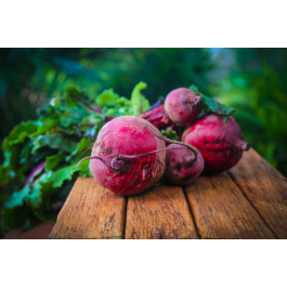 Die Superfood-Knolle Rote Beete