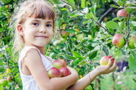 7 Tipps für eine natürliche Ernährung
